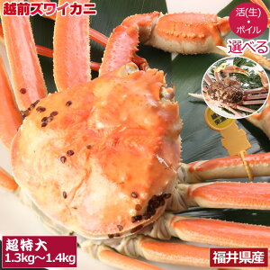 ySzԋz  zO I  Jj p /{C Mtg Ε 킢 YCKj 䌧Y YnieʂƁA{CIׂj