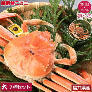 ySzԋz  zO  I p /{C Mtg Ε ZCRKj ZRKj  YCKj 䌧Y YnieʂƁA{CIׂj