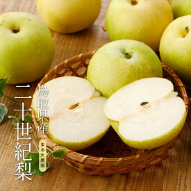 2027年8月分予約 低農薬 訳あり 鳥取 二十世紀梨 2.8~4.8キロ 9～16玉入 20世紀梨 20世紀 二十世紀 和梨 SU 産地直送 ※ ふるさと納税 ではありません
