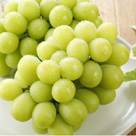 減農薬 愛媛産 シャインマスカット 訳あり 約0.6kg 1～3房入 ぶどう ブドウ 葡萄 SSS