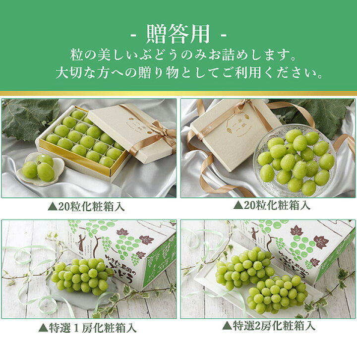 楽天市場】9月分予約 減農薬 愛媛産 シャインマスカット 訳あり 約2kg 