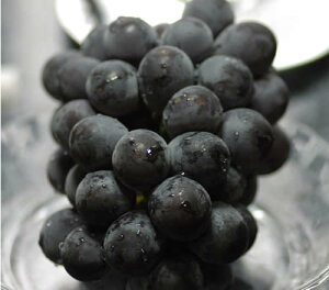 RY Ԃǂ sI[l 嗱1[ 600g pGi uhE   ӂ邳Ɣ[ ł͂܂ S10
