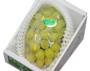 VC}XJbg 嗱1[ 700`800g ϔ S10  ӂ邳Ɣ[ ł͂܂