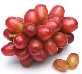 低農薬 クイーンルージュ ぶどう 1.8kg 3～5房 入 ブドウ 葡萄 長野産 産地直送