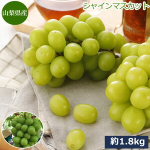 2026N\ ySzԋz RY Ԃǂ 1.8kg Ȃ fEFA   VC}XJbg 4ނIׂ ӂ݂̂ NN  ӂ邳Ɣ[ ł͂܂