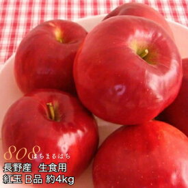 減農薬 長野 生食用 紅玉 りんご B品 約4kg小玉12～25個入 リンゴ 林檎 産地直送 小山 SSS 9g