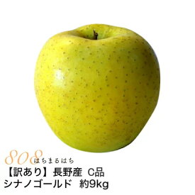 訳あり 減農薬 長野 小玉 シナノゴールド りんご 約9kg 16～50個入 C品 リンゴ 林檎 産地直送 小山 SSS