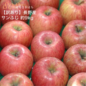 楽天市場 りんごの通販