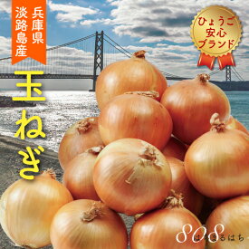 減農薬 淡路島 玉ねぎ 4.5kg タマネギ たまねぎ 玉葱 玉ネギ 淡路産 産地直送 SSS