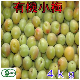 有機JAS 和歌山 小梅 生梅 熟 梅干し用 4kg L〜2L サイズ混合 訳あり 産地直送 NN ※ ふるさと納税 ではありません
