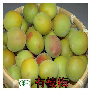 �L�@JAS �a�̎R ���~ NK14 �~�����p 3�`10kg �󂠂� �T�C�Y���� �Y�n���� �썂�~ ���e�i�� SU �� �ӂ邳�Ɣ[�� �ł͂���܂���