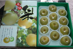 2026N8\  K 2kg 5kg 5`14ʓ  R Gi K 䋟  䋟 SSS  ӂ邳Ɣ[ ł͂܂