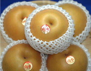 ySzԋz10\ ōx17x  Y 쐅 p 1.5`4.5kg 4`14 쐅 Mtg Gi SSS  ӂ邳Ɣ[ ł͂܂