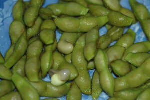 Og哤   } 200g Gi ܂ OgY G_}  } 哤} S10  ӂ邳Ɣ[ ł͂܂