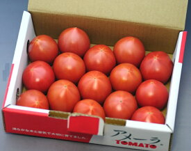 甘さと栄養価が濃縮された高糖度トマト アメーラ 1kg 8～12個 産地化粧箱入 S10