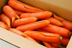 12月分予約 有機JAS 高知産 人参 3.8kg〜9kg サイズ混合 訳あり にんじん ニンジン 産地直送 SSS ※ ふるさと納税 ではありません