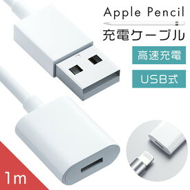 【 送料無料 】 Apple pencil 充電ケーブル 充電 ケーブル アップルペンシル USB 第1世代 第2世代 1M iPad Pro 充電アダプタ 1 2 変換 キャップ カバー ケース ペン先 かわいい