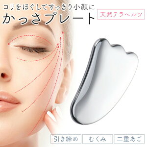 y EiɒI XɍȂv[gLy[  z fafe  ewc v[g JbT tFCV JbTv[g  {fBp   C H^ e