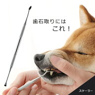 【犬 歯石取り スケーラー】ペット 歯垢除去 デンタルケア 歯磨き 歯周病予防 小型犬 中型犬 猫 口臭予防…