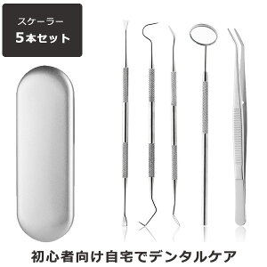 y 1000~|bLI  zXP[[ 5_Zbg f^PA P[Xt jp Ύ C j  v[N   p XeX ɍ f^c[