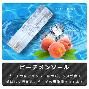 yyVLO1ʓ ݌v̔{35{̎  z dq^oR M̓{ďC C dq΂ Lbh ݊J[gbW 10Zbg MASTER P100 P200 Lbh Cʑ t