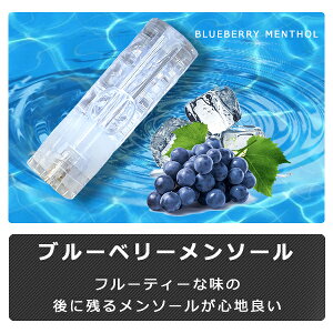 yyVLO1ʓ ݌v̔{35{̎  z dq^oR M̓{ďC C dq΂ Lbh ݊J[gbW 10Zbg MASTER P100 P200 Lbh Cʑ t