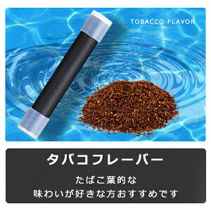 yyVLO܁zy݌v̔{20{̎сz dq^oR M̓{ďC C dq΂ Lbh ݊J[gbW 5Zbg dq^oR M̓{ďC MASTER MS-50 obe