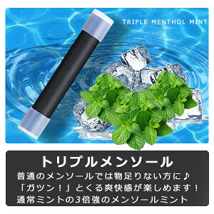 yyVLO܁zy݌v̔{20{̎сz dq^oR M̓{ďC C dq΂ Lbh ݊J[gbW 5Zbg dq^oR M̓{ďC MASTER MS-50 obe