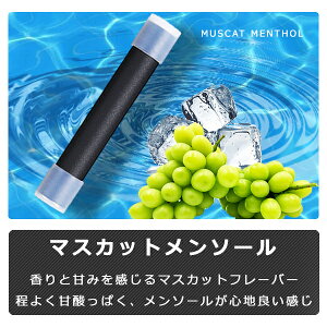 yyVLO܁zy݌v̔{20{̎сz dq^oR M̓{ďC C dq΂ Lbh ݊J[gbW 5Zbg dq^oR M̓{ďC MASTER MS-50 obe