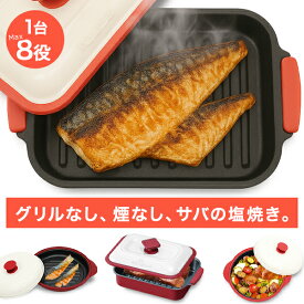 【レンジで約7分 本格焼き魚】 電子レンジ 魚焼き器 焼き魚 調理器 電子レンジ調理器らくらくクック 1台8役 時短 簡単 グリル 蒸し器 角型 丸型 HDL-5444 RRK-MS RRK-MD HDL-0543