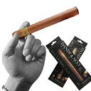 電子タバコ 電子たばこ 葉巻タイプ 約1800回吸引可能 DANDY＆SEXY 禁煙グッズ(送料無料)