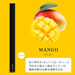 ։ObY dq^oR [XeBbN M̓{ďC ^[ jR`0 V[V ĝ C X^[^[Lbg { ^oȒ xCv 