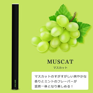 ։ObY dq^oR [XeBbN M̓{ďC ^[ jR`0 V[V ĝ C X^[^[Lbg { ^oȒ xCv 