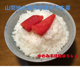 石川産 新米ゆめみづほ 白米 5kg 金沢北部山間地限定 令和7年度 送料無料