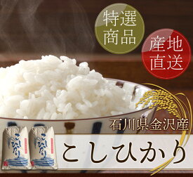 石川産 新米こしひかり 玄米 30kg 金沢北部山間地限定 令和7年度 送料無料