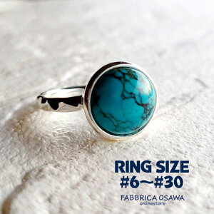 ^[RCY O Vo[ 6`30 7 8 9 10 11 12 13 14 15 16 17 18 19 20 21 22 23 24 25 26 27 28 29 Vv 950 925 SV SILVER TCY ԑΉ silver 