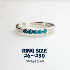 Vo[ ^[RCY 5pc O 6`30 7 8 9 10 11 12 13 14 15 16 17 18 19 20 21 22 23 24 25 26 27 28 29 Vv ԑΉ Vo[950 SILVER SV 950  silve