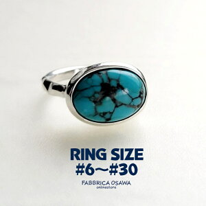 ^ ^[RCY O Vo[ 6`30 7 8 9 10 11 12 13 14 15 16 17 18 19 20 21 22 23 24 25 26 27 28 29 Vv SV SILVER TCY ԑΉ ƖڃO 