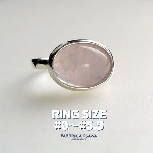 ^ [YNH[c O Vo[ 0`5.5 1 2 3 4 5 Vv 950 925 SV SILVER TCY ԑΉ silver sL[O sL[ ƖڃO VR I[o