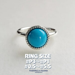 ~ł Vo[ ^[RCY J{bV O P3 P2 P1 0.5`5.5 -2 -1 1 0 2 3 4 5 sL[O sL[ Vv ԑΉ Vo[950 SILVER SV 950  silver SILVER950 