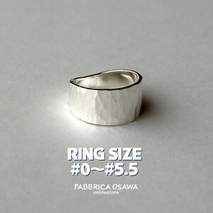 L Vo[O 0`5.5 1 2 3 4 5 Vv SILVER SV 950 TCY ԑΉ sL[O sL[ n}[ cƖ eNX`[ EhƖ