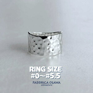 ���L �V���o�[�����O 0���`5.5�� 1�� 2�� 3�� 4�� 5�� �V���v�� SILVER SV 950 �T�C�Y ���ԑΉ� �s���L�[�����O �s���L�[ �n���}�[ �c���Ɩ� �e�N�X�`���[ ���E���h�Ɩ�