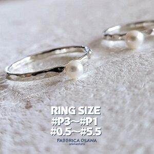 ya3.5~/4~zVo[ ~jp[ ƖڃO P3 P2 P1 0.5`5.5 -2 -1 1 0 2 3 4 5 SILVER sL[O ؚO TCY ԑΉ sL[ 950 SILVER p[ ring }C