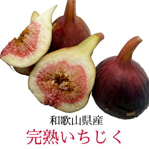 a̎RY@n