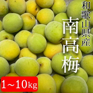 �y�\��̔��z6�����{��菇�������@�a�̎R���Y�@�썂�~ 1�`10�L���y�~�z