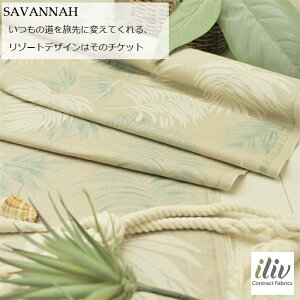 CMX@AnnFSAVANNAH/celadonuhFiliviACuj50cmȏ10cmPʁ][gEgsJEXeEnhChEnEzERbgEg[gobOEGRob