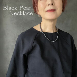 wubNp[lbNXx^̃lbNX p[lbNX@p[JWA  Wp[fB[X ig@ Ǝ w NX}X v[g Mtgy[