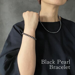 wubNp[uXbgx^̃uXbg @SuX@p[uX@p[JWA  Wp[fB[X ig@ Ǝ w NX}X v[g M