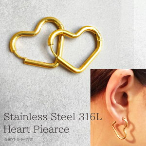 wn[g ^b` sAX XeXx1yAi2jT[WJXeX@316L  t[vsAX XeX AM[ AM[Ή ςȂ n S[h JWA 