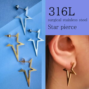 wX^[ sAX XeX316Lx1yAi2j  T[WJXeX@316L  XeX AM[ AM[Ή ςȂ n S[hVo[ JWA l@